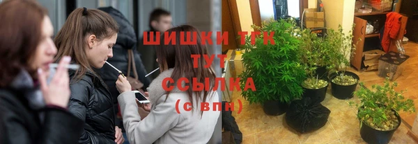 спайс Баксан