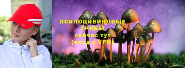 гидропоника Балабаново