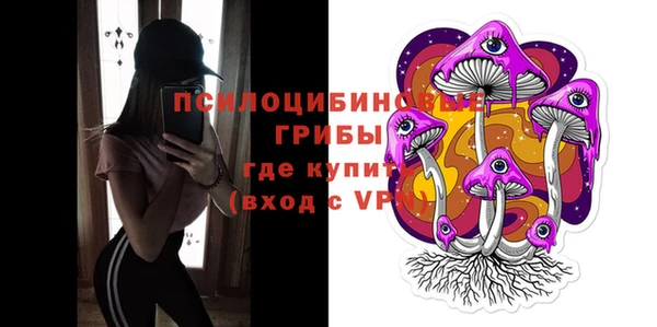 спайс Баксан