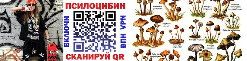 Псилоцибиновые грибы GOLDEN TEACHER  Купить закладки  Медвежьегорск 
